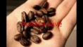 /album/ayura-herbal-fekete-kave-es-cappuccino-/tmp-cover651-1-jpg/